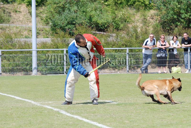 3 EME SELECTIF 2009 GRANDE SYNTHE 552.jpg
